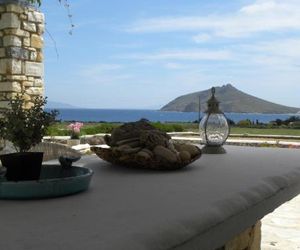 Villa Petradi (150 meters from the sea) Naoussa Greece