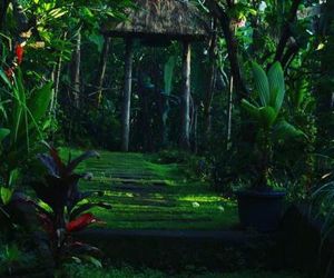 bucu hidden guest house Tegallalang Indonesia