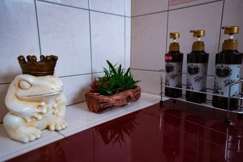 صورة الفندق 12