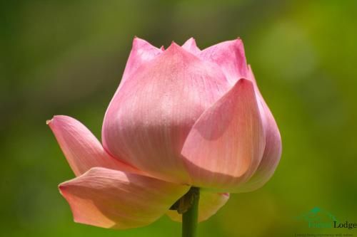 صورة الفندق 14
