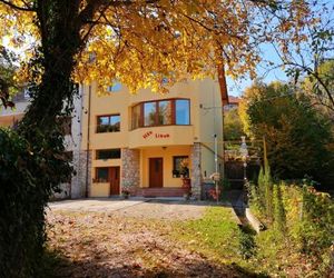 Vila Liana Brasov Romania