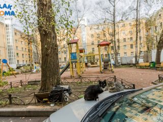 Apartment on Moskovsky avenue in the centre