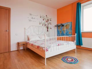 Sunny flat, amazing view to r.NEVA!