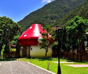 Mushroom Forest Guesthouse Camping Site Puli Township Taiwan