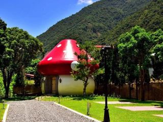 Hotel pic Mushroom Forest Guesthouse Camping Site