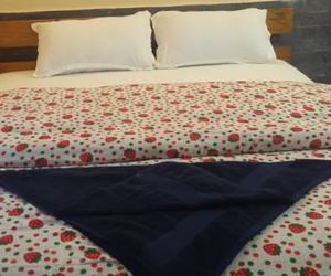 OYO 337 Hotel View Point Sauraha Nepal