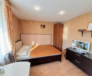 Apartment on Kuybisheva, 62 Perm Russia