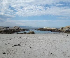 Porcupine Walk Simons Town South Africa