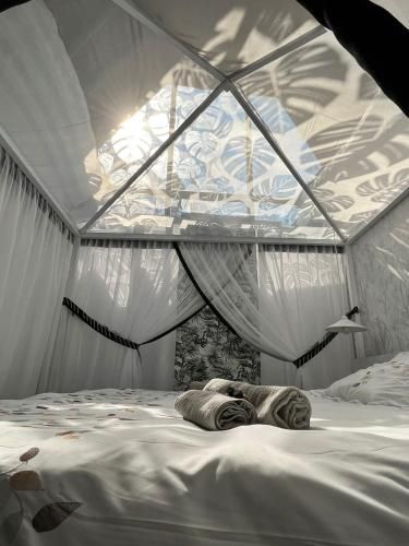 صورة الفندق 7