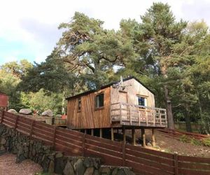 Glenmore Treehouse Aviemore United Kingdom