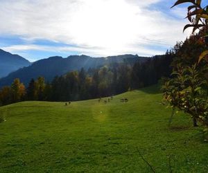 Niederstallnhof St. Johann im Pongau Austria