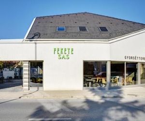 Fekete Sas Motel Esztergom Hungary