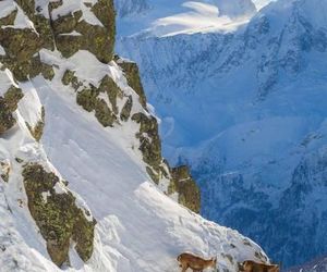 Appartamento Cristallo di Ghiaccio Tonale Italy