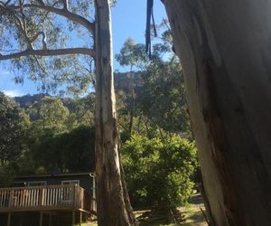 Grampians Nest Halls Gap Australia