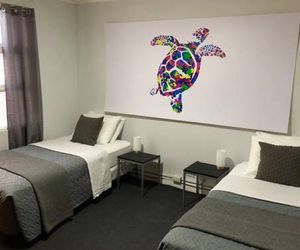 Turtle Saving Hostel San Jose Costa Rica