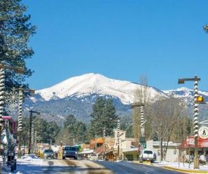 Beary Comfy Cabin Ruidoso United States