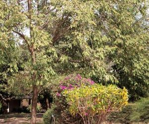 Yuna Village Garden Resort Brufut Gambia