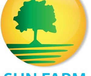 Sunfarm Agro Tourism Wai India