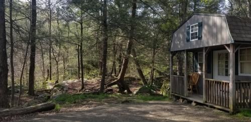 Photo of Abrams Creek Campground