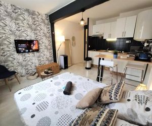 Le Jasmin des Carmes - Hypercentre - Netflix Toulouse France