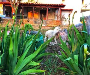 The Hillhouse near Alexandroupolis ,Daphnee Apartment Alexandroupolis Greece