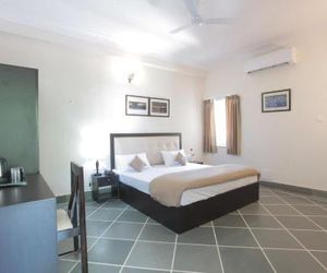 Mimosa Udaipur Udaipur India