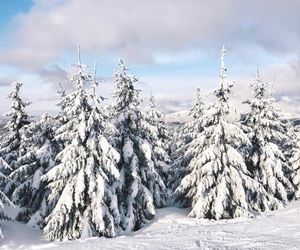 Central Suites - Špindlerův mlýn Spindleruv Mlyn Czech Republic