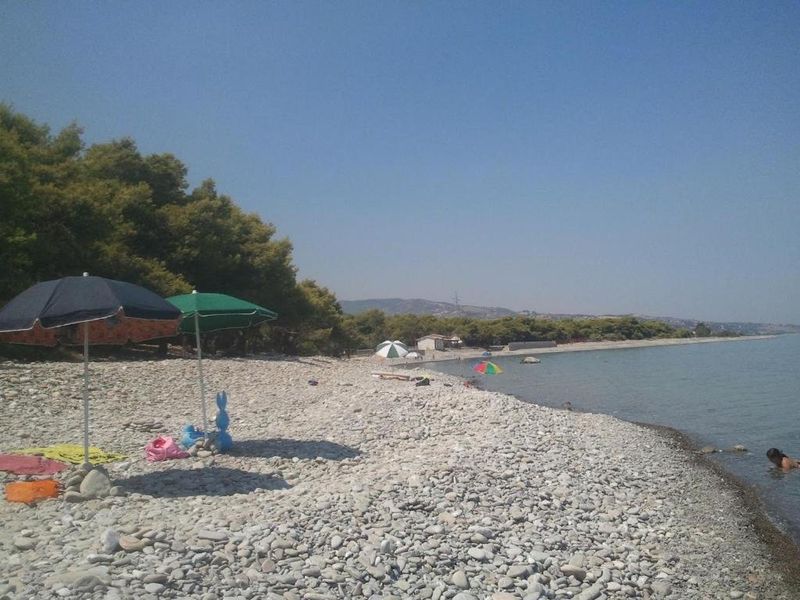 صورة الفندق 1