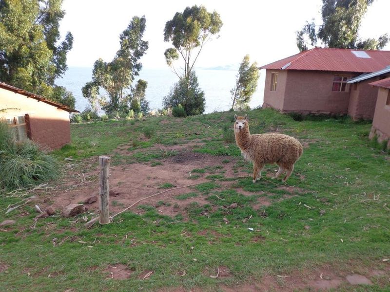صورة الفندق 4