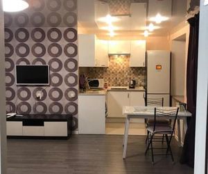 Апартаменты на Анохина 45 Petrozavodsk Russia