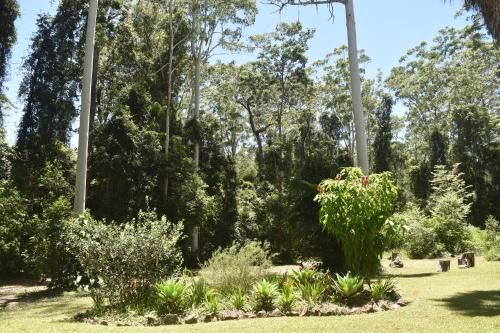 Beechs’ Brook Rainforest Retreat