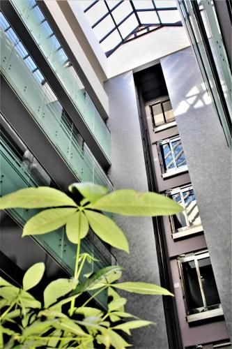 صورة الفندق 21