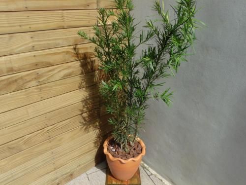 صورة الفندق 2