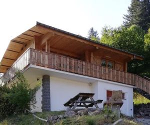 Chalet des Bruyères La Bresse France