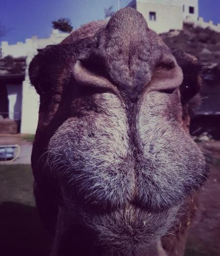 صورة الفندق 4