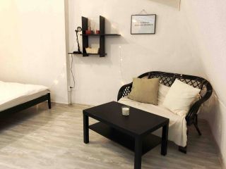 Mansard loft apartment in city center