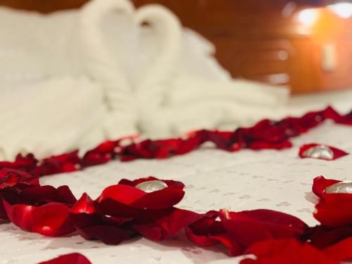 صورة الفندق 24