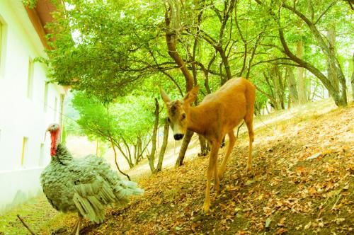 صورة الفندق 15