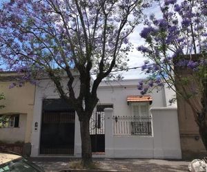 El Jacarandá en Chascomús Chascomus Argentina