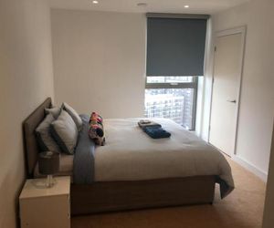 Luxurious serviced apartment in Croydon Croydon United Kingdom