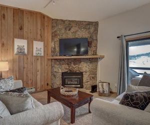 303D Dillon Bay Condo Condo Dillon United States