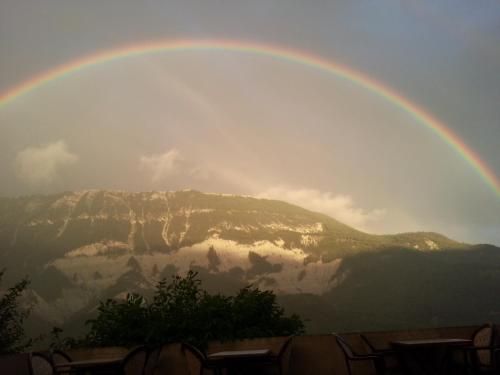 صورة الفندق 8