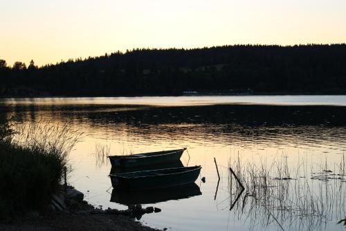 صورة الفندق 15