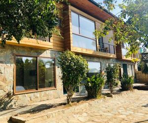 Hotel Mar & Vino Pichilemu Chile