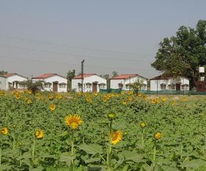 Living Green Farms Allahabad India