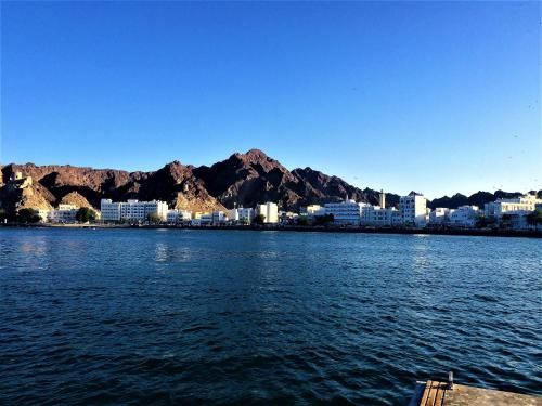 صورة الفندق 17