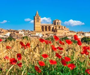 Marina Alcudia Spain