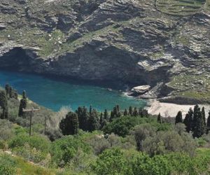 MILTIADIS APARTMENTS Andros Island Greece