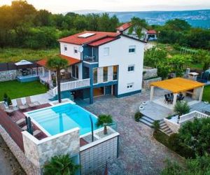ctim228/ Modern villa with private pool Zmijavci Croatia