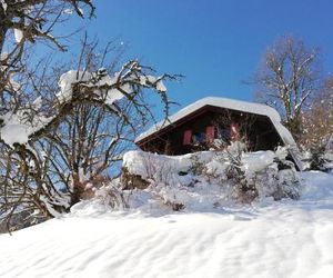 Ferienhaus Schnider St. Gallenkirch Austria